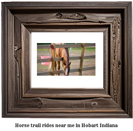 horse trail rides near me in Hobart, Indiana